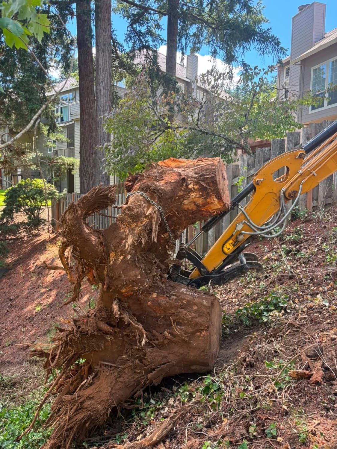 Land & Lot Clearing